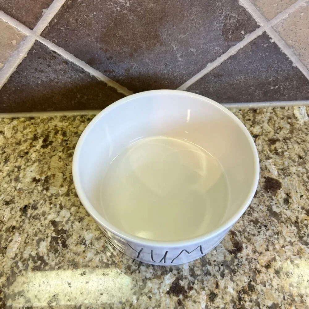 Rae Dunn Ceramic YUM Bowl Dog Bowl Artisan Collection Farm House Decoration